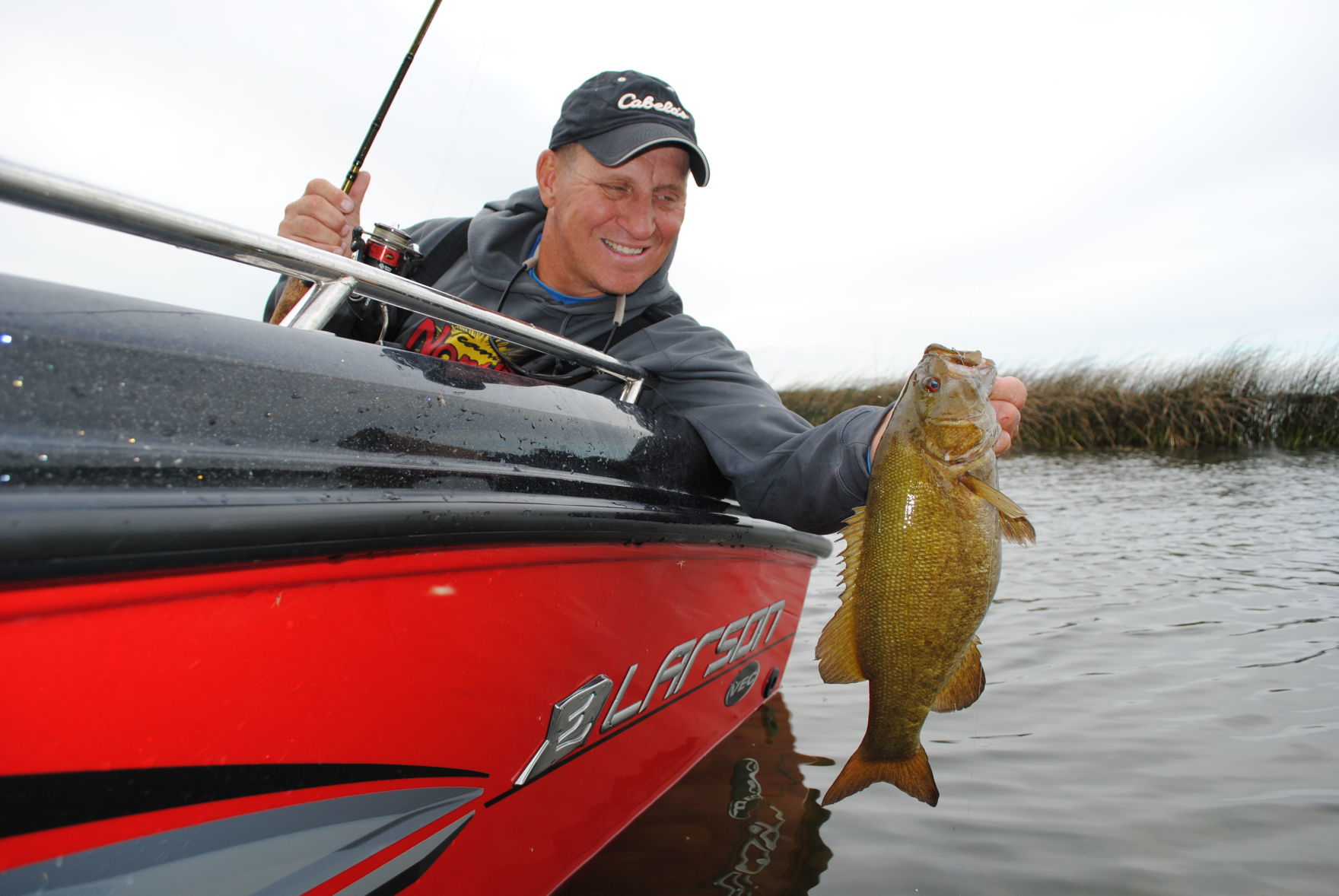 Smallmouth bass in open water